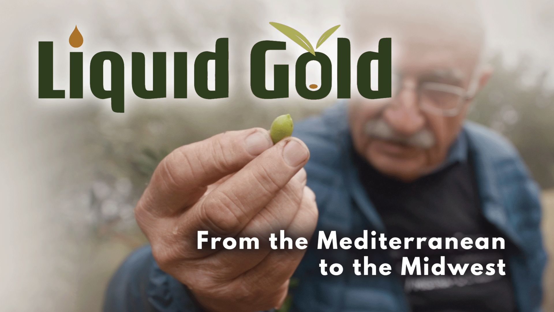 Liquid Gold: From the Mediterranean to the Midwest