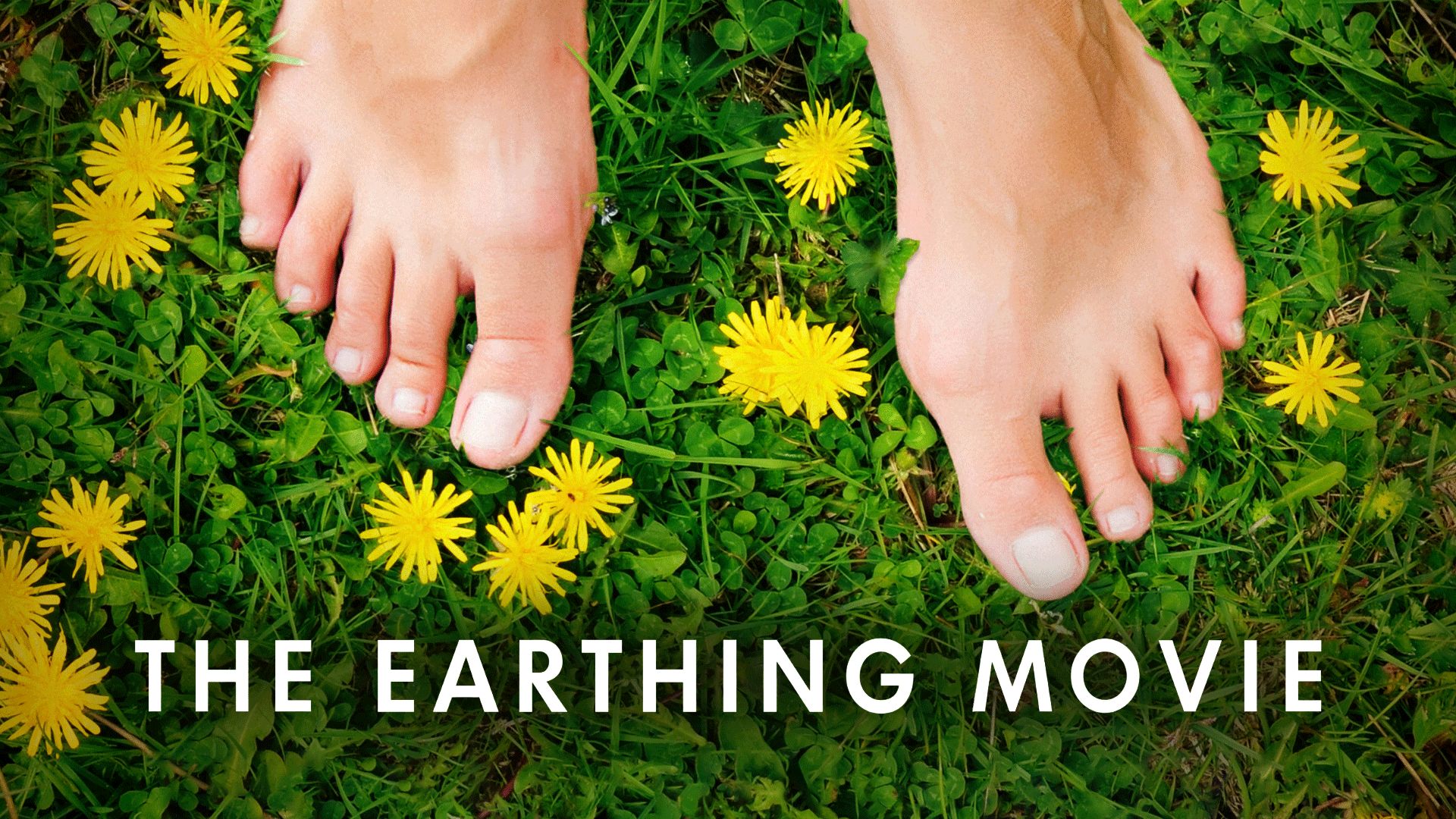 The Earthing Movie