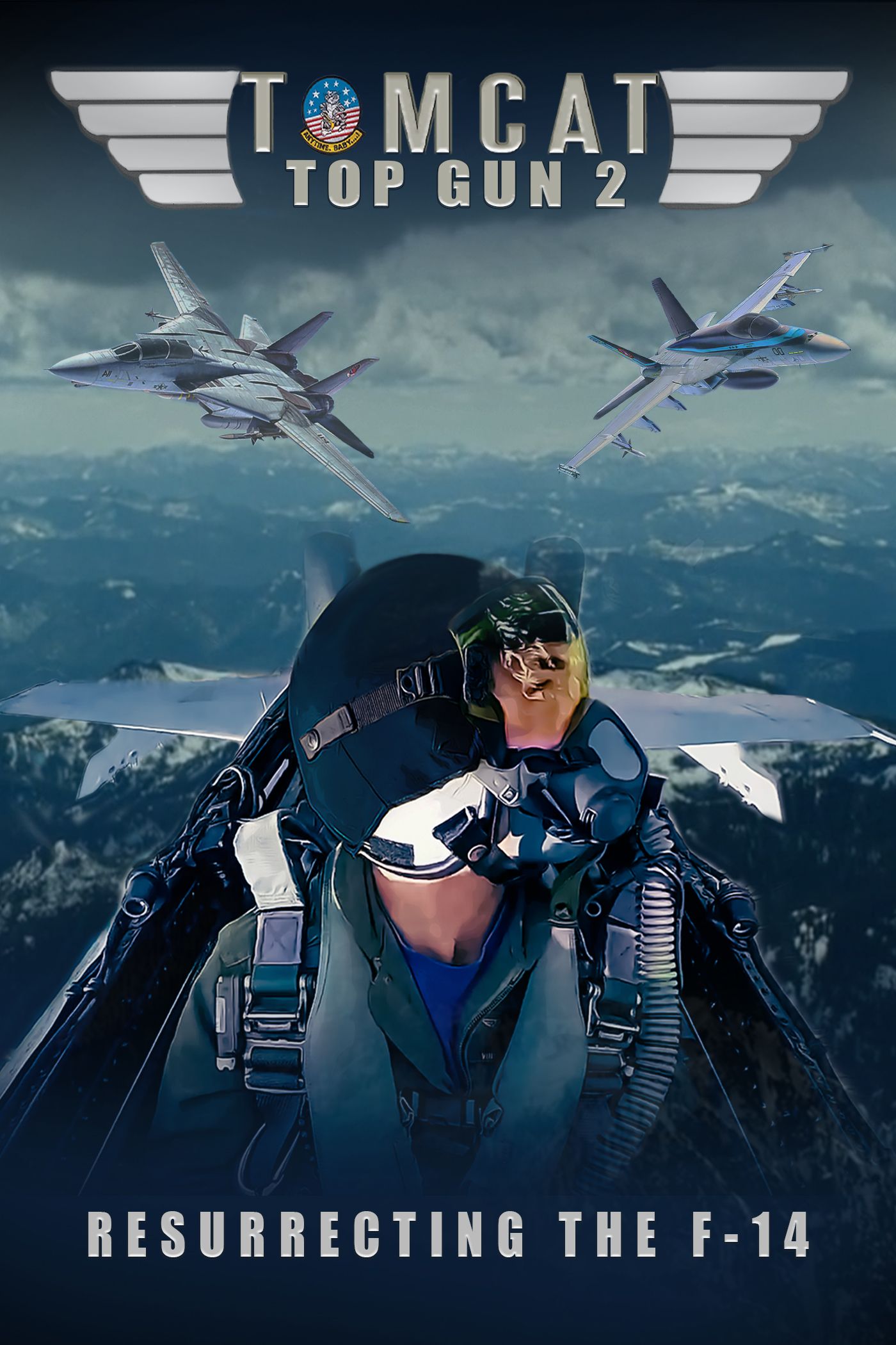 Tomcat: Top Gun 2 Resurrecting the F-14