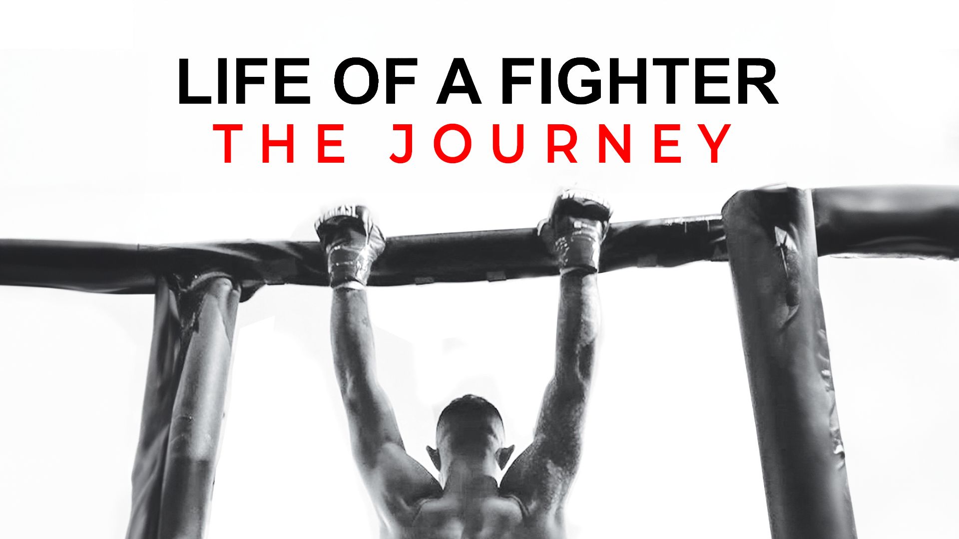 Life of a Fighter: The Journey
